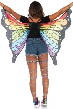 Ailes De Papillon Arc En Ciel