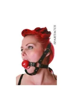 Baillon Harnais Avec Bouble Gag Ball