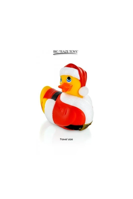 Canard Vibrant De Noël – Image 2