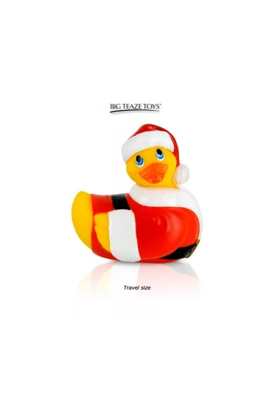 Canard Vibrant De Noël