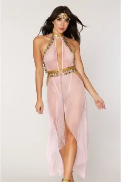 Costume Danseuse Orientale Transparent Body Et Jupe Longue Résille