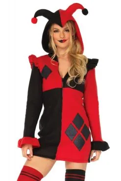 Costume Harlequin Sexy Cozy