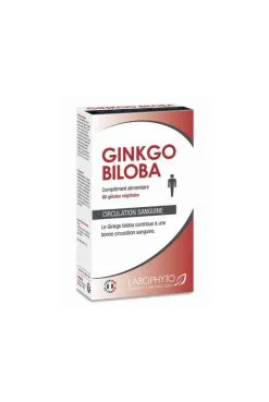 Erection Ginkgo Biloba Extra Fort - 60 Gélules
