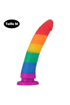 Gode Ventouse Multicouleur 22 X 4.5 Cm