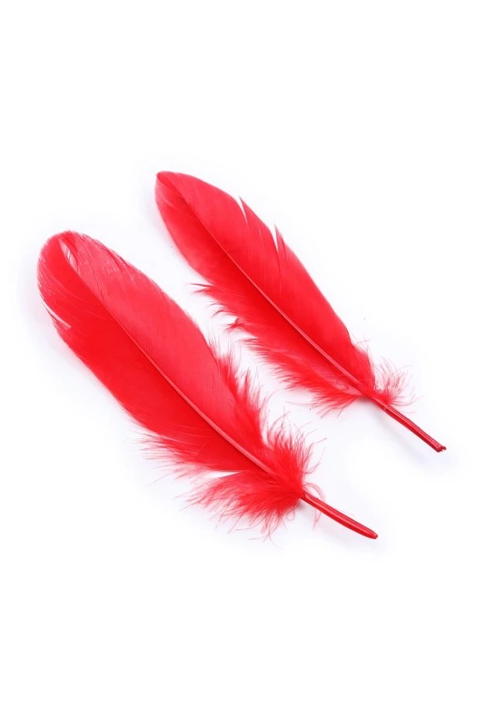 Kit Coquin 4 Pièces Menottes Plumes Masque Rouge – Image 3