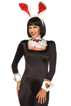 Kit Costume Lapin Alice Sexy