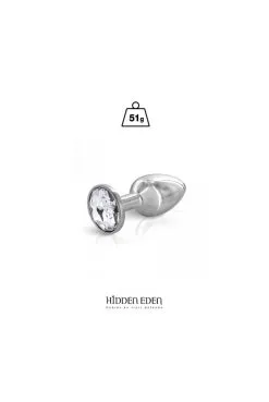 Plug Anal Bijou Aluminium Taille S 51gr