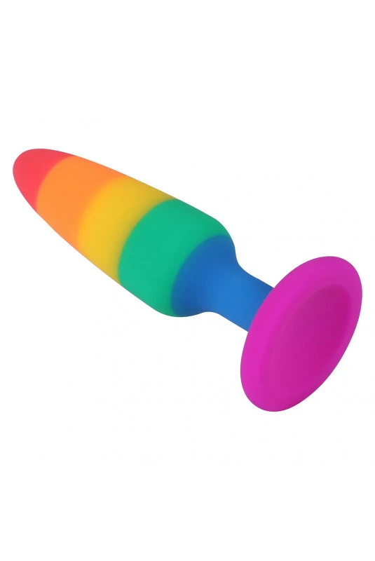 Plug Anal Multicouleur 11 X 2.9 Cm – Image 2