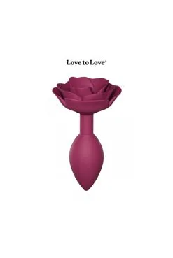 Plug Anal Open Roses M