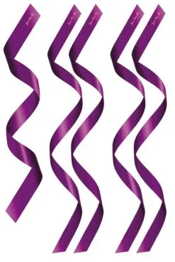 Set 5 Bandeaux Satinés Violety Chevilles Poignets Yeux