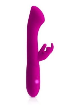 Vibro Rabbit Tête Large Point G USB 10 Programmes