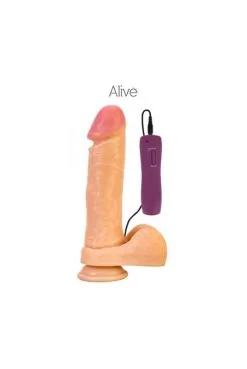 Vibro Réaliste Bruno 22cm